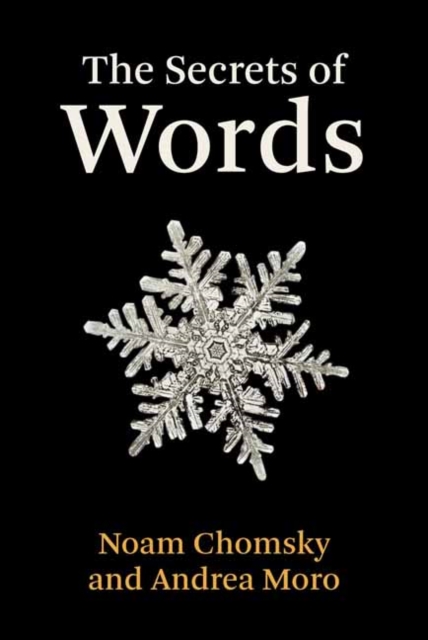 The Secrets of Words, Hardback Book