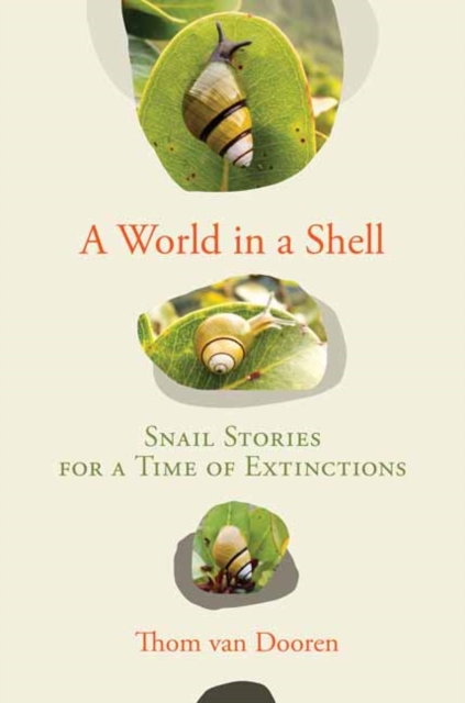 A World in a Shell : Snail Stories for a Time of Extinctions, Hardback Book