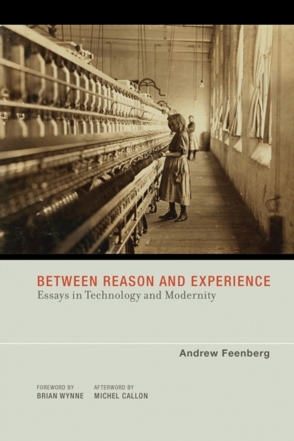 Between Reason and Experience, EPUB eBook