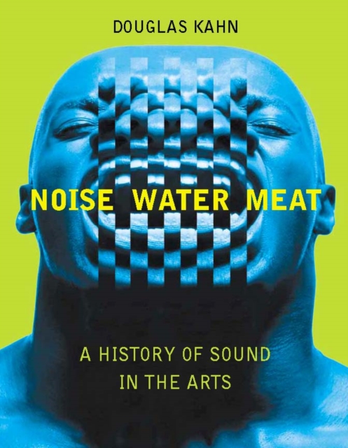 Noise, Water, Meat : A History of Sound in the Arts, PDF eBook