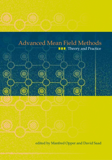 Advanced Mean Field Methods : Theory and Practice, PDF eBook