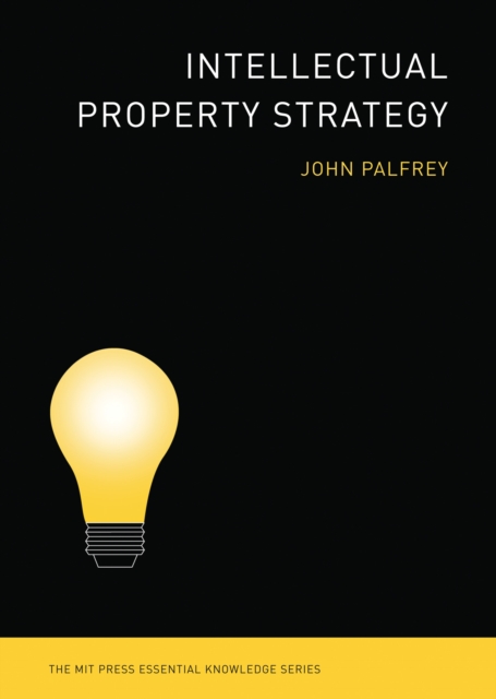 Intellectual Property Strategy, EPUB eBook