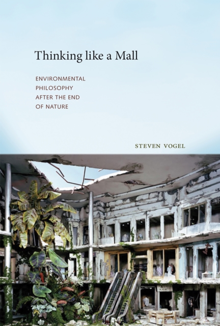 Thinking like a Mall : Environmental Philosophy after the End of Nature, PDF eBook