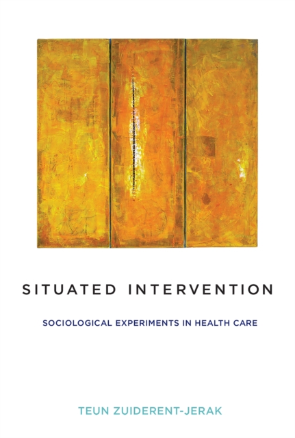 Situated Intervention : Sociological Experiments in Health Care, PDF eBook