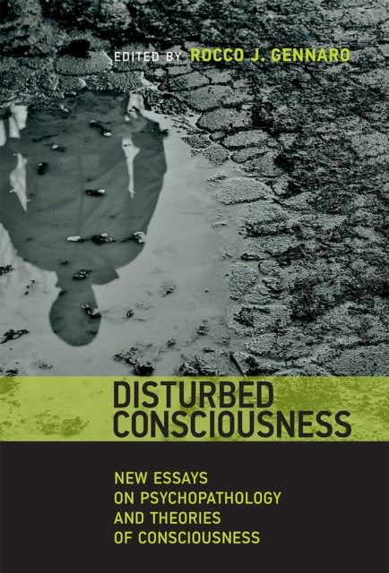 Disturbed Consciousness : New Essays on Psychopathology and Theories of Consciousness, PDF eBook