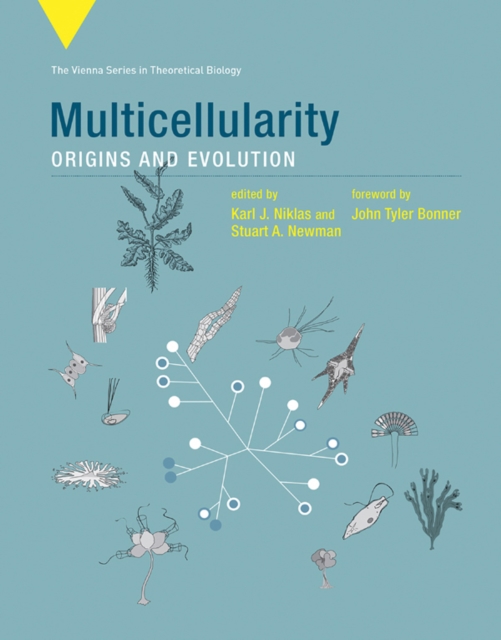 Multicellularity : Origins and Evolution, PDF eBook