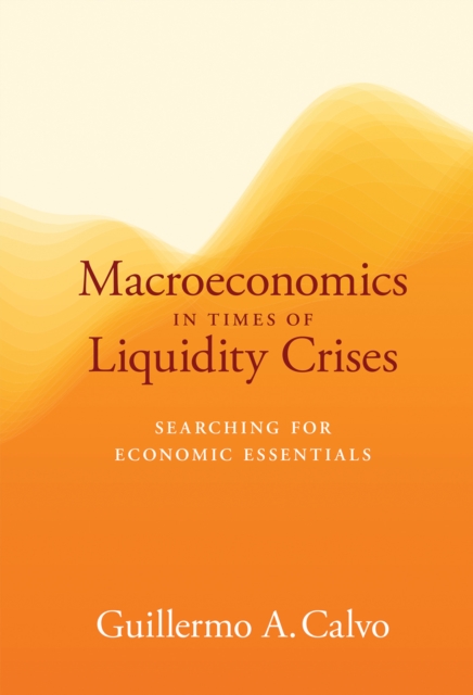 Macroeconomics in Times of Liquidity Crises, EPUB eBook