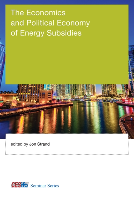 The Economics and Political Economy of Energy Subsidies, PDF eBook
