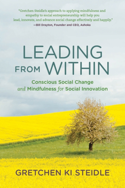 Leading from Within : Conscious Social Change and Mindfulness for Social Innovation, PDF eBook