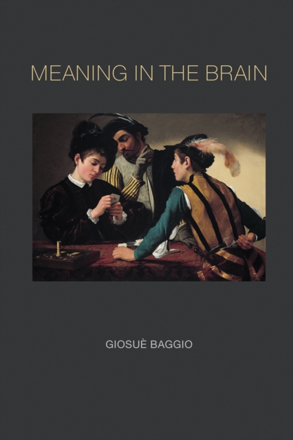Meaning in the Brain, EPUB eBook