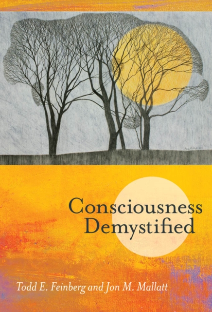 Consciousness Demystified, PDF eBook