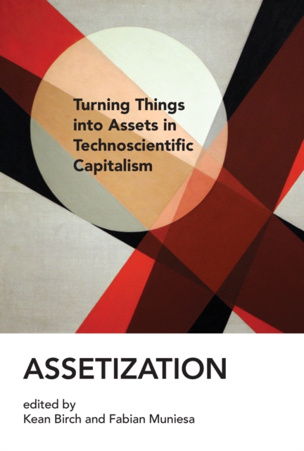 Assetization, EPUB eBook