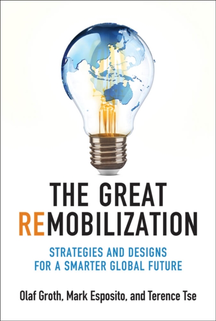 The Great Remobilization : Strategies and Designs for a Smarter Global Future, PDF eBook