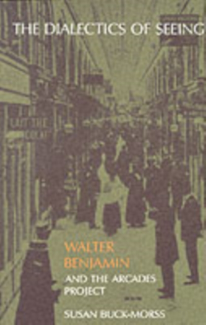 The Dialectics of Seeing : Walter Benjamin and the Arcades Project, Paperback / softback Book