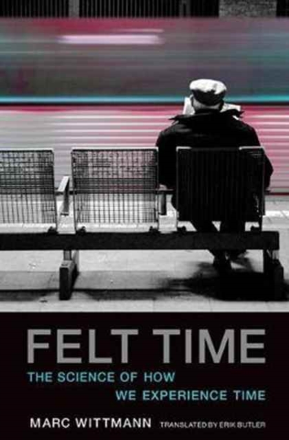 Felt Time : The Science of How We Experience Time, Paperback / softback Book