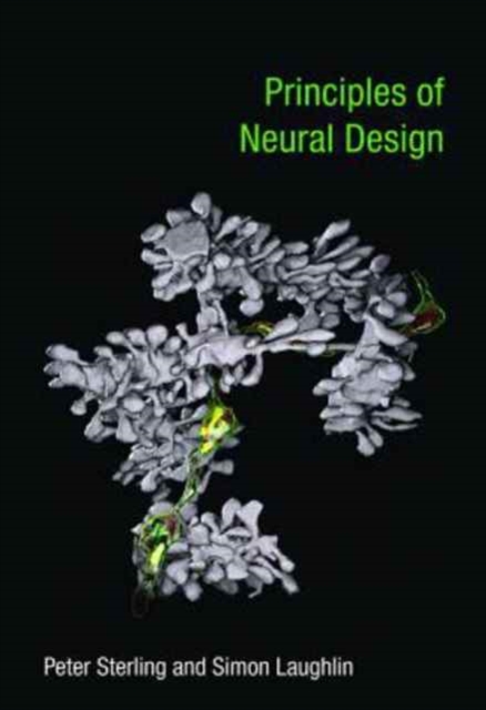 Principles of Neural Design, Paperback / softback Book