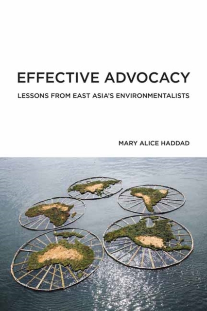 Effective Advocacy : Lessons from East Asia's Environmentalists, Paperback / softback Book