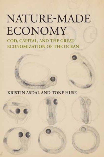 Nature-Made Economy : Cod, Capital, and the Great Economization of the Ocean, Paperback / softback Book