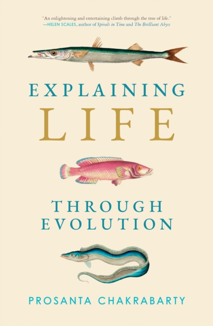 Explaining Life through Evolution, Paperback / softback Book