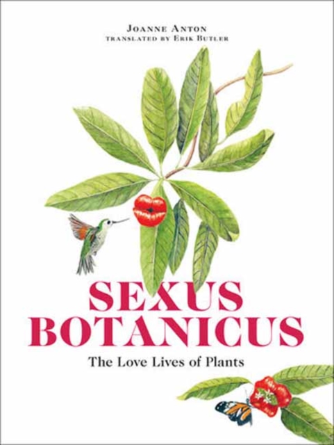 Sexus Botanicus : The Love Lives of Plants, Paperback / softback Book