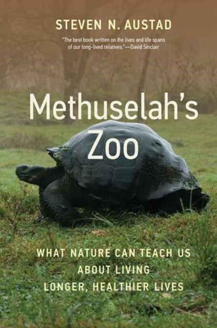Methuselah's Zoo : What Nature Can Teach Us about Living Longer, Healthier Lives, Paperback / softback Book