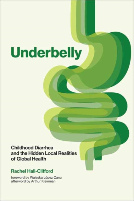 Underbelly : Childhood Diarrhea and the Hidden Local Realities of Global Health, Paperback / softback Book