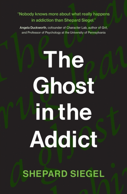 The Ghost in the Addict, Paperback / softback Book