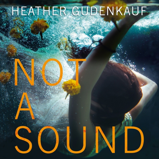 Not a Sound, eAudiobook MP3 eaudioBook