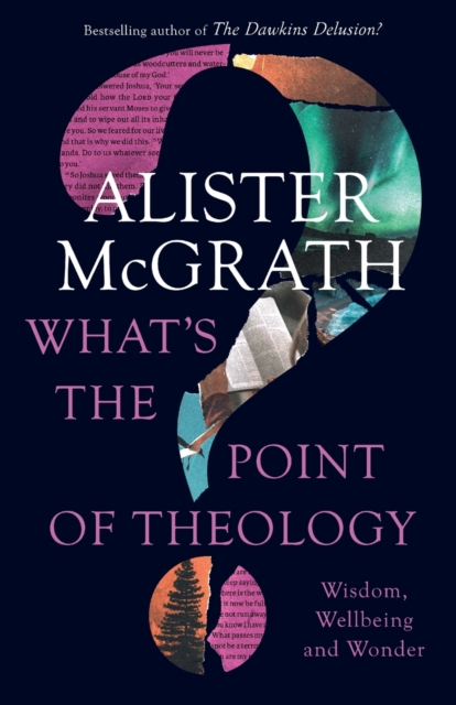 What's the Point of Theology? : Wisdom, Wellbeing and Wonder, Paperback / softback Book
