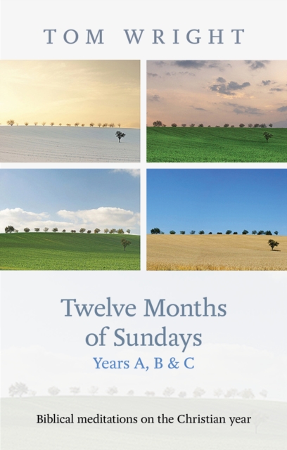 Twelve Months of Sundays Years A, B and C : Biblical Meditations On The Christian Year, EPUB eBook