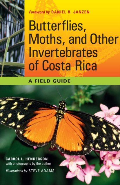 Butterflies, Moths, and Other Invertebrates of Costa Rica : A Field Guide, Paperback / softback Book