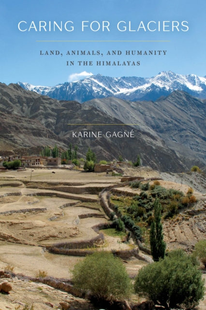 Caring for Glaciers : Land, Animals, and Humanity in the Himalayas, EPUB eBook