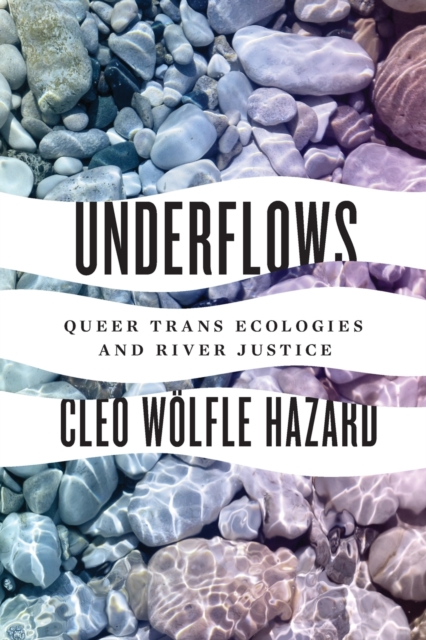 Underflows : Queer Trans Ecologies and River Justice, Paperback / softback Book