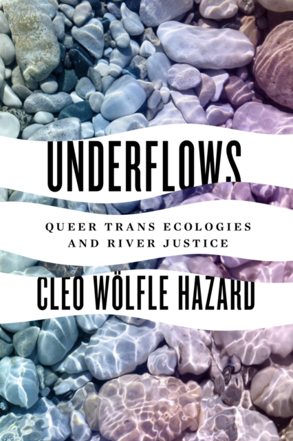 Underflows : Queer Trans Ecologies and River Justice, Paperback / softback Book