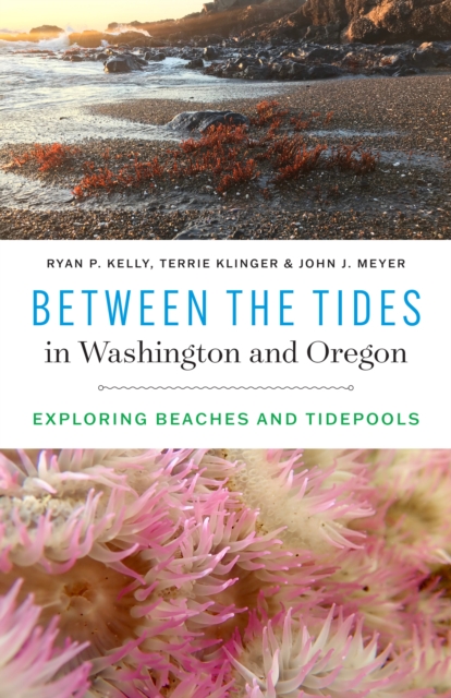 Between the Tides in Washington and Oregon : Exploring Beaches and Tidepools, Paperback / softback Book