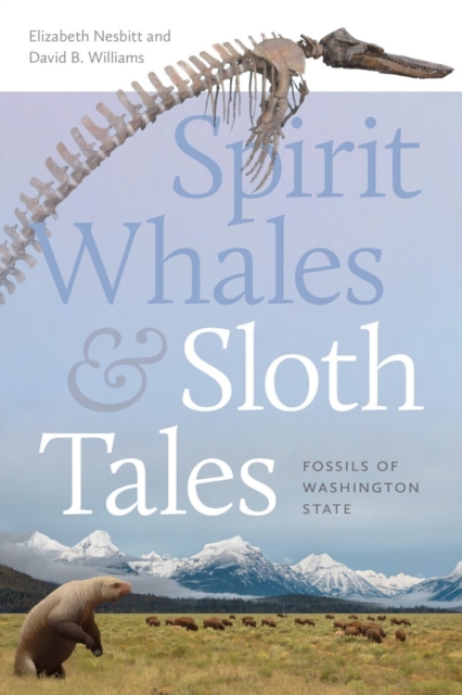 Spirit Whales and Sloth Tales : Fossils of Washington State, Paperback / softback Book