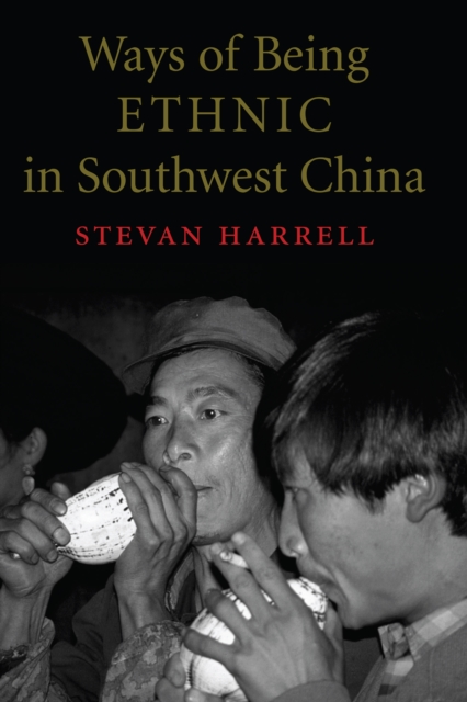Ways of Being Ethnic in Southwest China, EPUB eBook