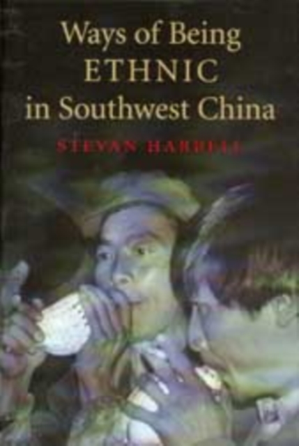 Ways of Being Ethnic in Southwest China, EPUB eBook