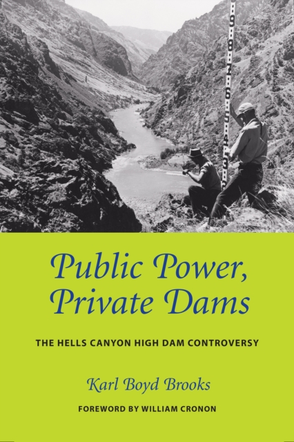 Public Power, Private Dams : The Hells Canyon High Dam Controversy, EPUB eBook
