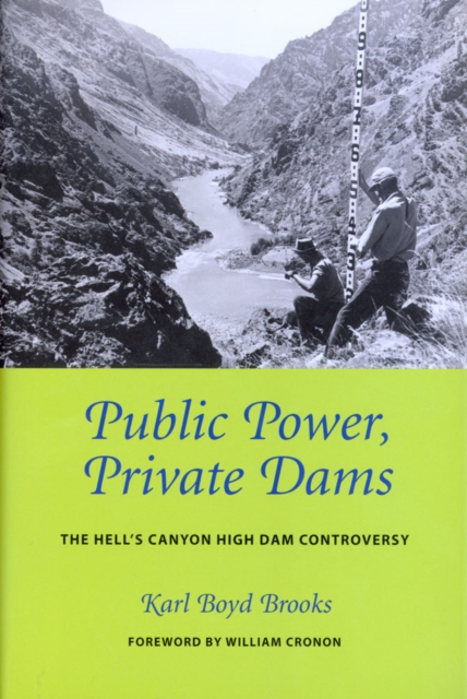 Public Power, Private Dams : The Hells Canyon High Dam Controversy, EPUB eBook