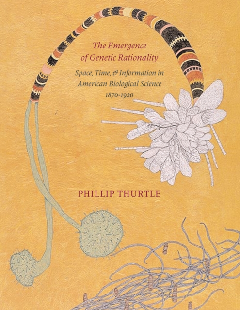 The Emergence of Genetic Rationality : Space, Time, and Information in American Biological Science, 1870-1920, EPUB eBook