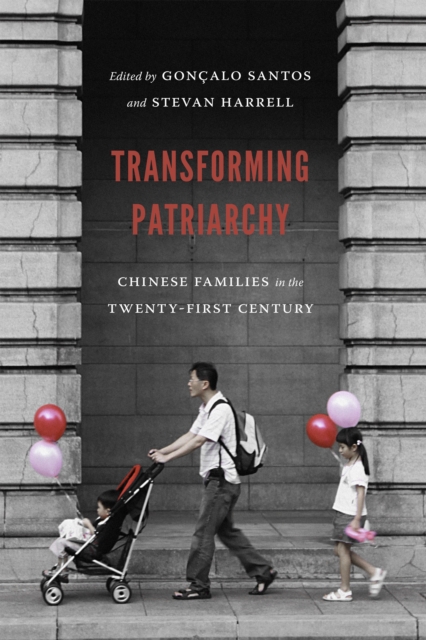 Transforming Patriarchy : Chinese Families in the Twenty-First Century, EPUB eBook