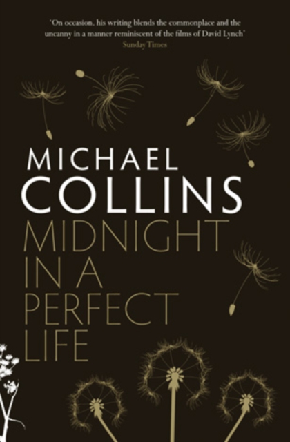 Midnight in a Perfect Life, EPUB eBook