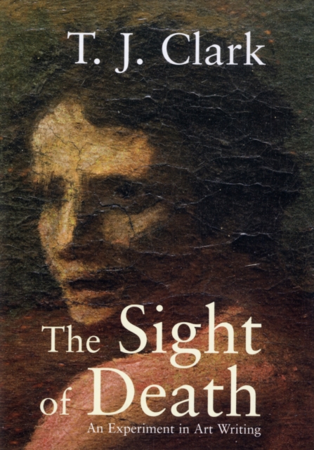 The Sight of Death : An Experiment in Art Writing, Paperback / softback Book