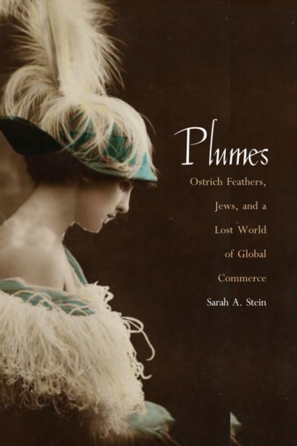 Plumes : Ostrich Feathers, Jews, and a Lost World of Global Commerce, PDF eBook