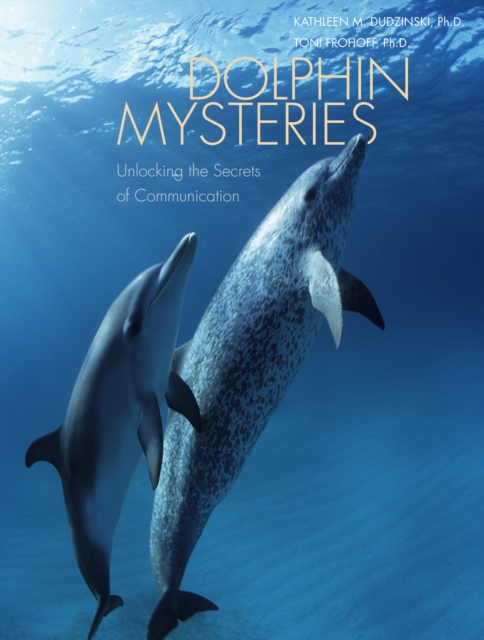 Dolphin Mysteries : Unlocking the Secrets of Communication, EPUB eBook