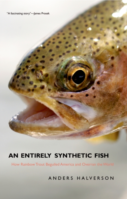 An Entirely Synthetic Fish : How Rainbow Trout Beguiled America and Overran the World, EPUB eBook