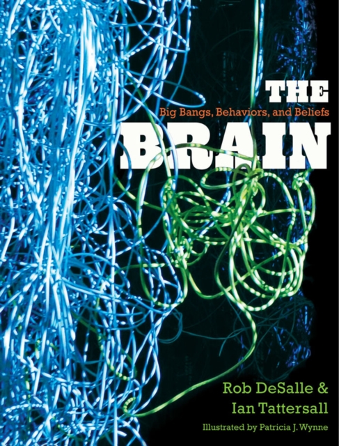 The Brain : Big Bangs, Behaviors, and Beliefs, EPUB eBook