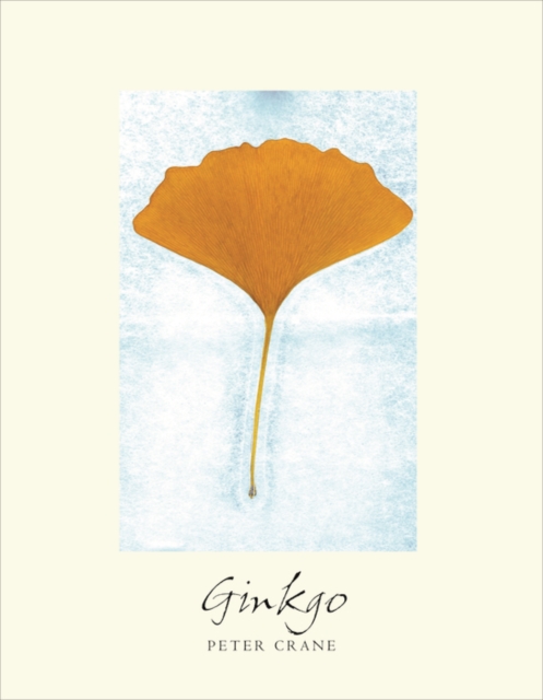 Ginkgo : The Tree That Time Forgot, EPUB eBook