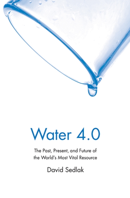 Water 4.0 : The Past, Present, and Future of the World's Most Vital Resource, Paperback / softback Book